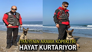 İtfaiyenin arama köpekleri hayat kurtarıyor