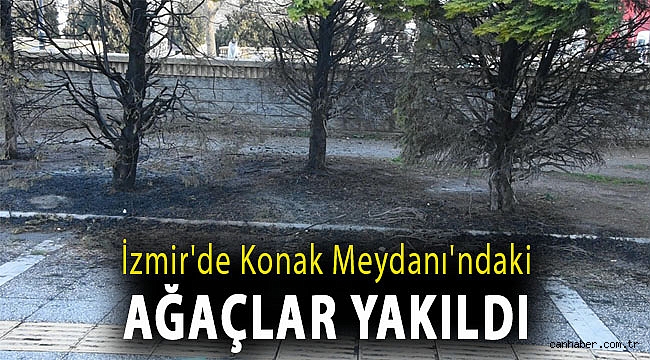 İzmir'de Konak Meydanı'ndaki ağaçlar yakıldı