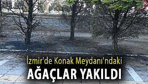 İzmir'de Konak Meydanı'ndaki ağaçlar yakıldı