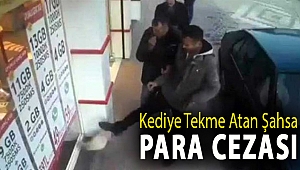 Kediye tekme atan şahsa para cezası