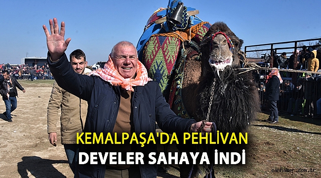 Kemalpaşa’da pehlivan develer sahaya indi