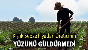 Kışlık sebze fiyatları üreticinin yüzünü güldürmedi