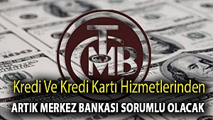 Kredi ve kredi kartı hizmetlerinden artık Merkez Bankası sorumlu olacak