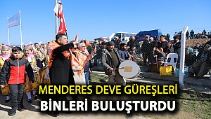 Menderes Deve Güreşleri Binleri Buluşturdu