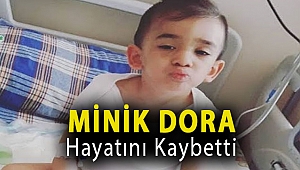 Minik Dora Hayatını Kaybetti