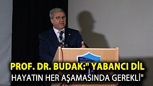 PROF. DR. BUDAK: