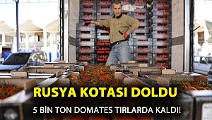 Rusya kotası doldu, 5 bin ton domates TIR’larda kaldı!