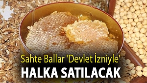 Sahte ballar 'devlet izniyle' halka satılacak