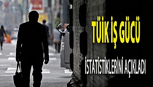 TÜİK İŞ GÜCÜ İSTATİSTİKLERİNİ AÇIKLADI