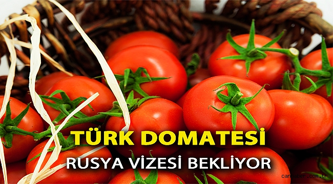 Türk domatesi Rusya vizesi bekliyor