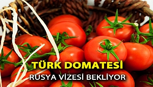 Türk domatesi Rusya vizesi bekliyor