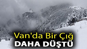 Van'da bir çığ daha düştü