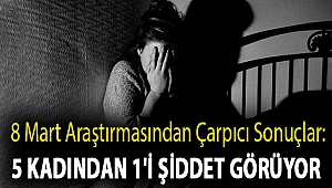 8 Mart araştırmasından çarpıcı sonuçlar: 5 kadından 1'i şiddet görüyor