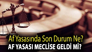 Af yasasında son durum ne? Af yasası meclise geldi mi?