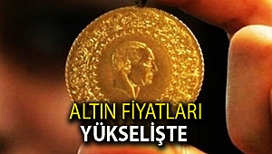Altın fiyatları yükselişte