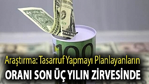 Araştırma: Tasarruf yapmayı planlayanların oranı son üç yılın zirvesinde