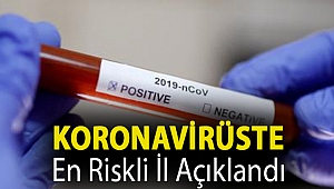 Bilim Kurulu Üyesi Prof. Dr. Mehmet Doğanay koronavirüste en riskli ili açıkladı