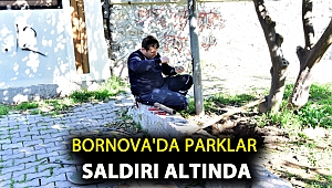 Bornova'da parklar saldırı altında