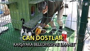 Can dostlar Karşıyaka Belediyesi'ne emanet