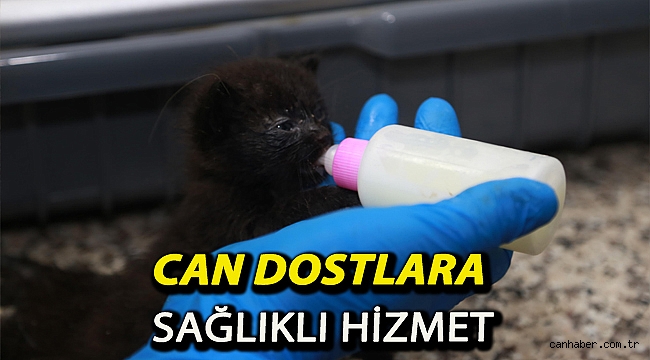 Can dostlara sağlıklı hizmet