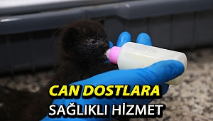 Can dostlara sağlıklı hizmet