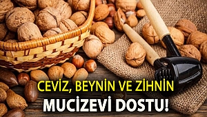 Ceviz, beynin ve zihnin mucizevi dostu!