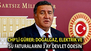 CHP'li Gürer: Doğalgaz, elektrik ve su faturalarını 3 ay devlet ödesin