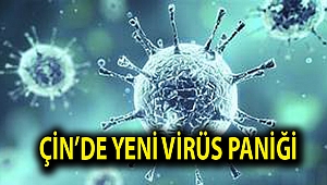 Çin'den korkutan haber! Yeni virüs ortaya çıktı!