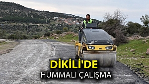 Dikili'de Hummalı Çalışma