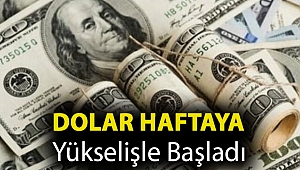 Dolar haftaya yükselişle başladı