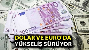 Dolar ve Euro'da yükseliş sürüyor