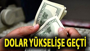 Dolar yükselişe geçti