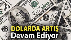 Dolarda Artış Devam Ediyor