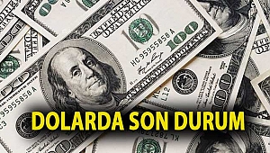 Dolarda son durum