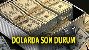 Dolarda son durum