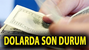 Dolarda son durum