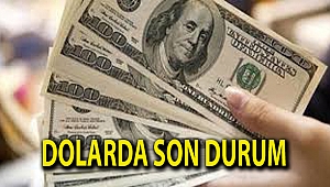 Dolarda son durum