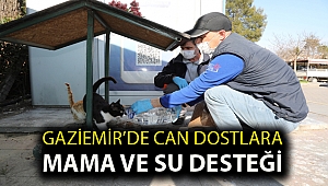 Gaziemir’de can dostlara mama ve su desteği