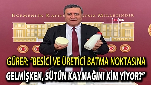 Gürer: “Besici ve üretici batma noktasına gelmişken, sütün kaymağını kim yiyor?”