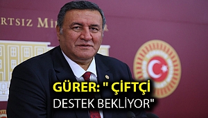 Gürer: