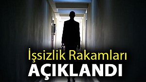 İşsizlik rakamları açıklandı