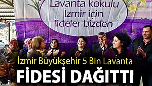 İzmir Büyükşehir 5 bin lavanta fidesi dağıttı
