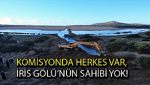 Komisyonda herkes var, İris Gölü’nün sahibi yok!