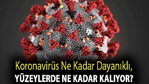 Koronavirüs ne kadar dayanıklı, yüzeylerde ne kadar kalıyor?