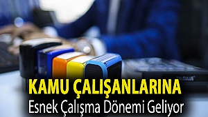 Koronavirüs salgını nedeniyle kamu çalışanlarına esnek çalışma dönemi geliyor