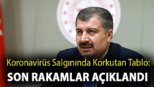 Koronavirüs salgınında korkutan tablo: Son rakamlar açıklandı