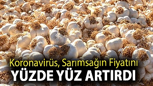 Koronavirüs, sarımsağın fiyatını yüzde yüz artırdı