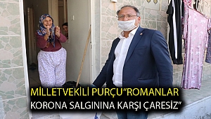 MİLLETVEKİLİ PURÇU:“ROMANLAR KORONA SALGININA KARŞI ÇARESİZ”