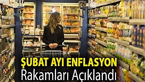 Şubat ayı enflasyon rakamları açıklandı