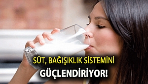 Süt, bağışıklık sistemini güçlendiriyor!